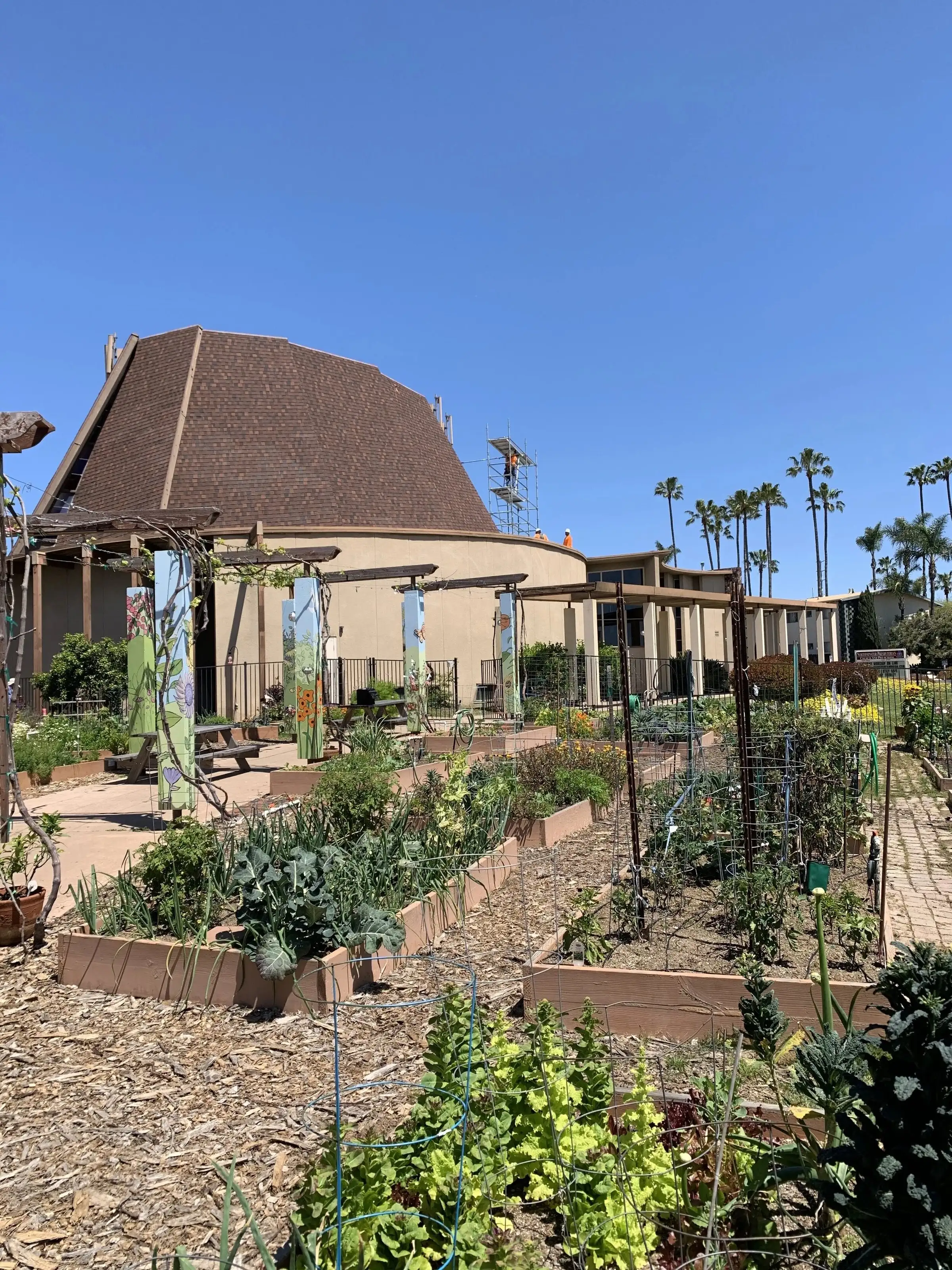 The garden in winter, with the sanctuary’s roofline in the background