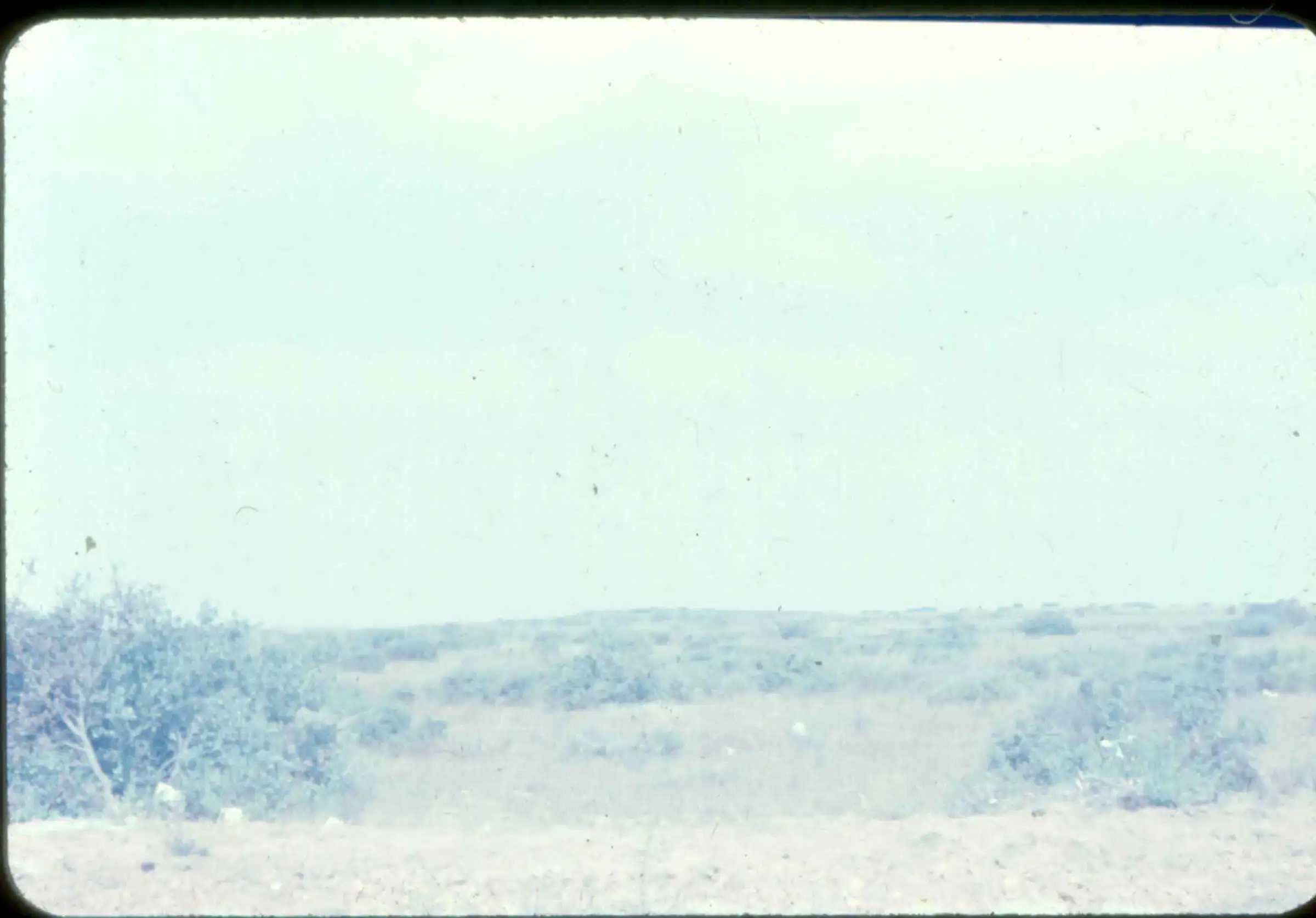 An empty, sandy lot on the Clairemont mesa in 1953